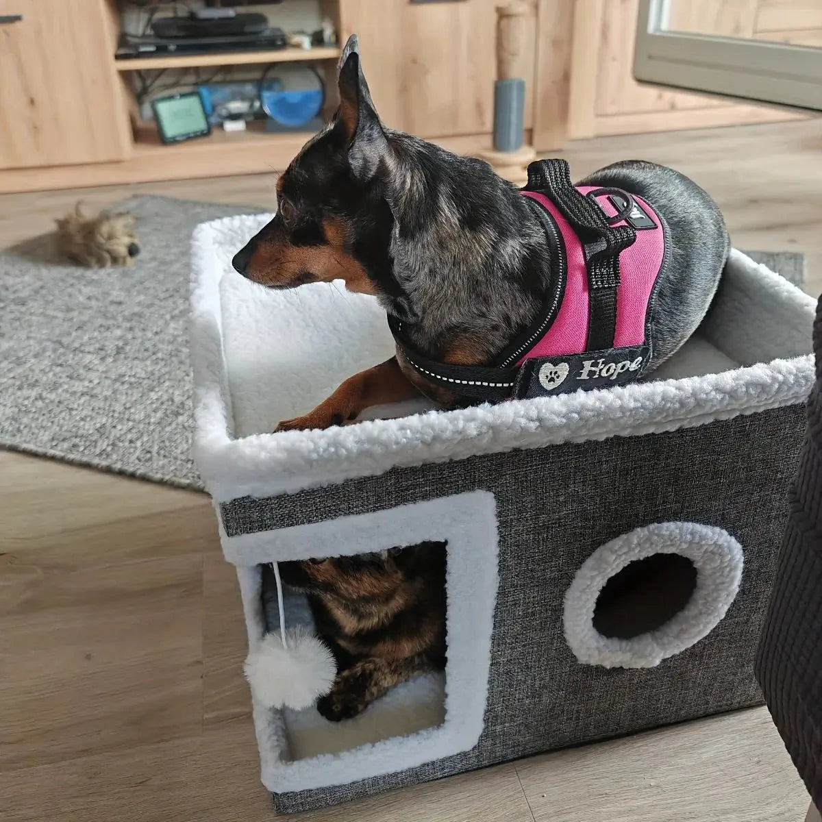 4-Season Multi-Level Cat House - Indoor Foldable Design, Scratching Board & Non-Slip Base 30LB Capacity, Warm Cat Bed Cat Cave WLP Company