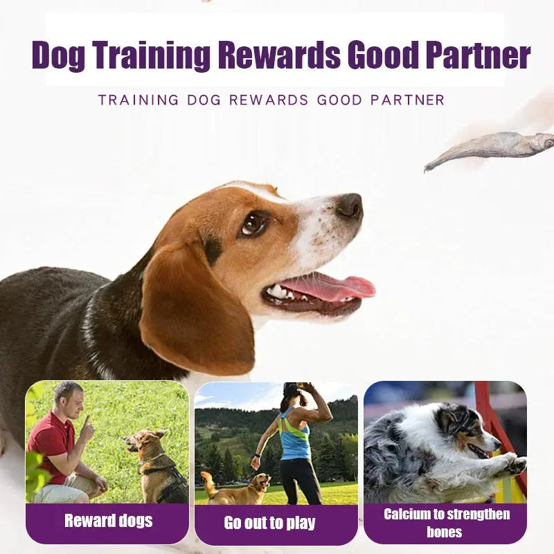 Dog Snacks Freeze-dried Spring Fish Large Full Seed Dried Pet Fish WLP Company
