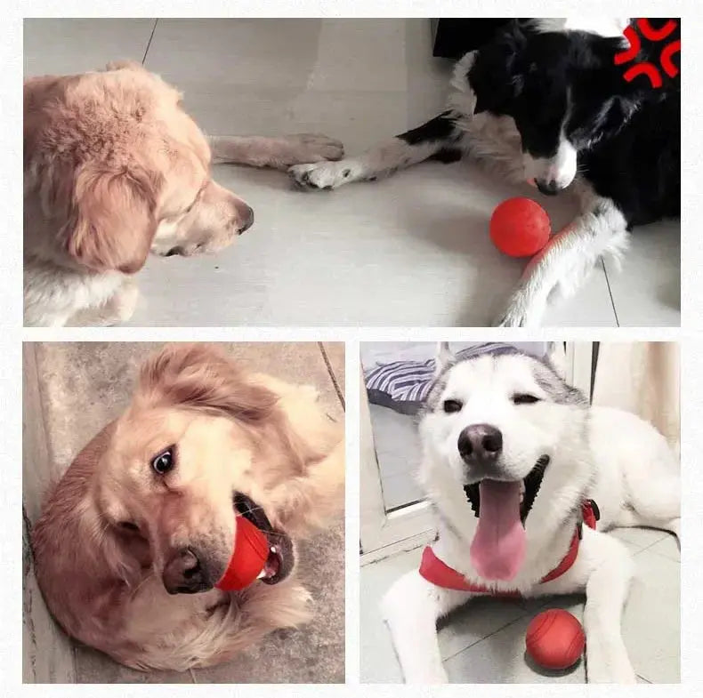 dog toy HOOPET Dog Bite-resistant Rubber Toy Ball - Ultimate Durability & Fun WLP Company