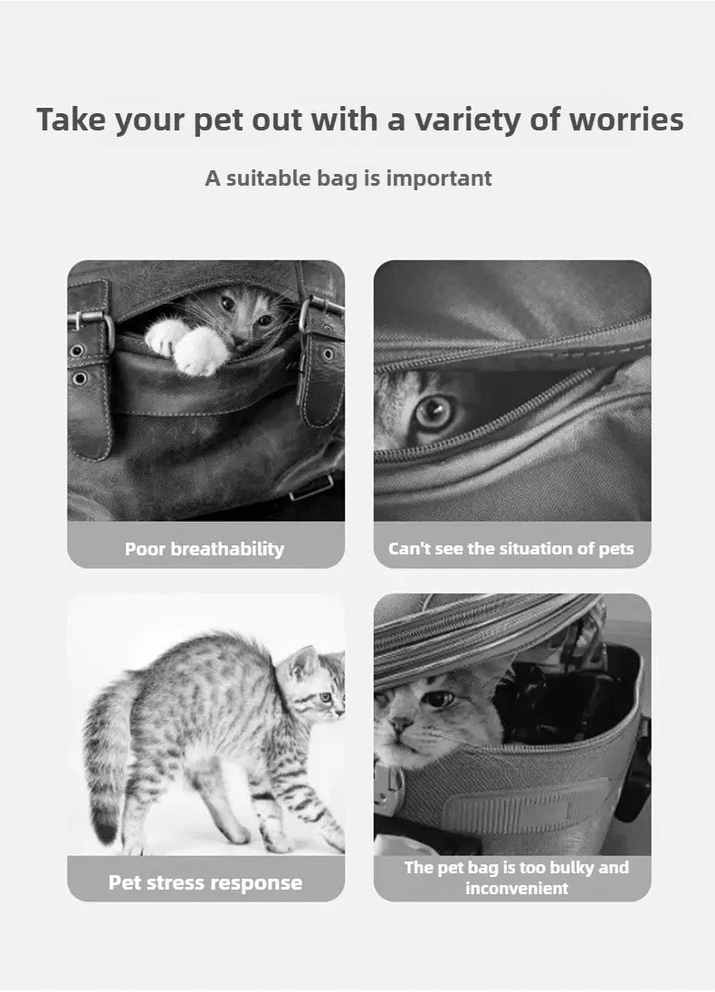 Portable Cat Carrier with a Large Capacity WLP Company
