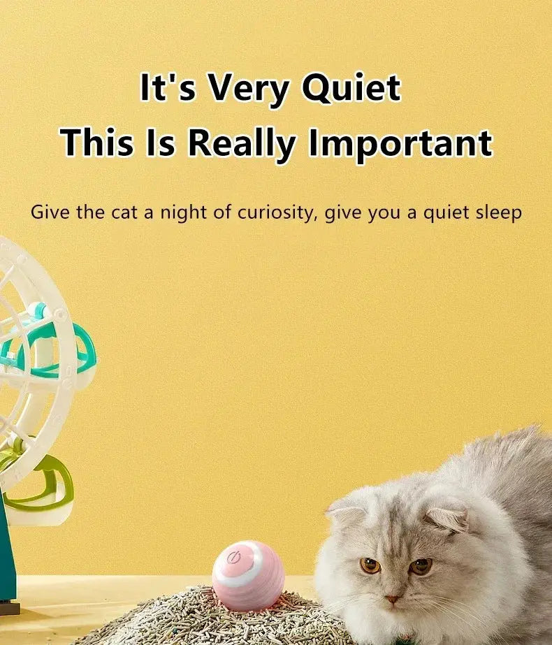 Cat Interactive Ball Smart Cat Toys for Pet Indoor WLP Company
