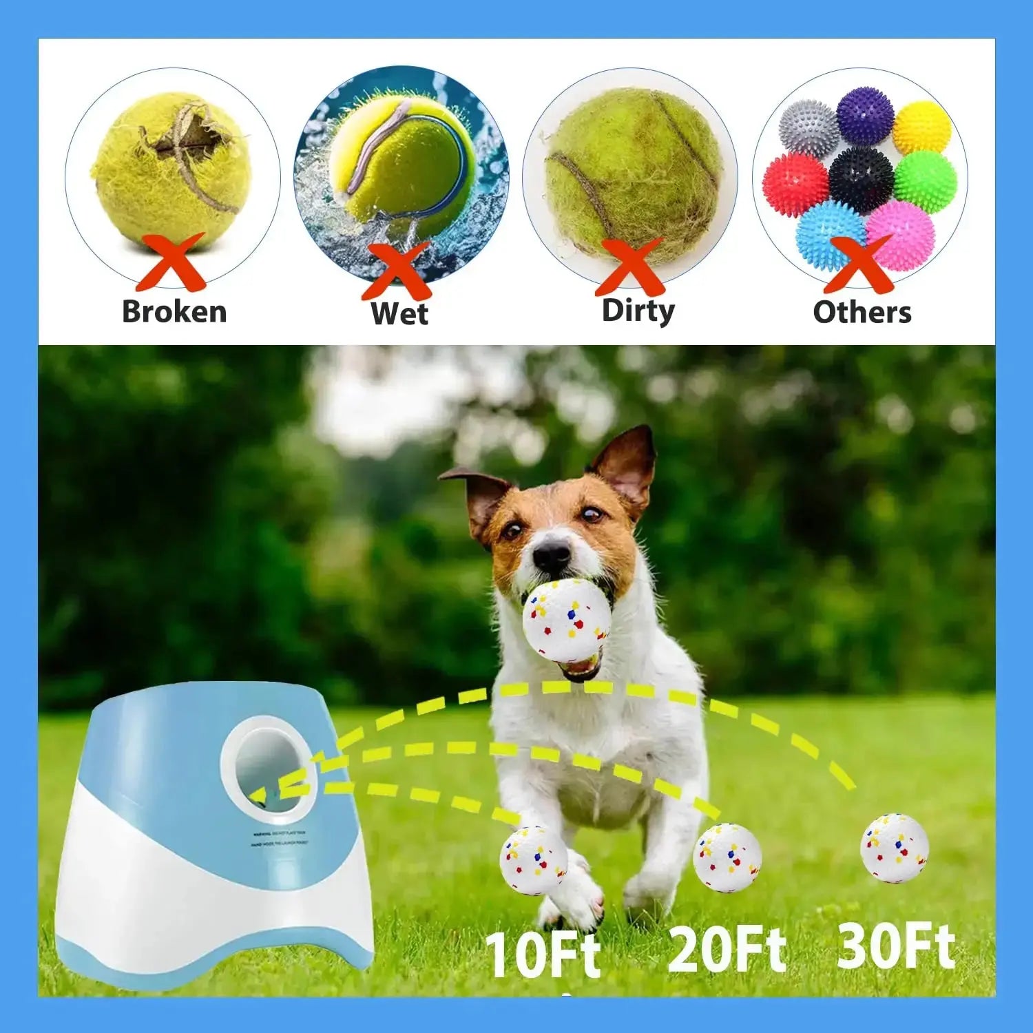 Fun Interactive Automatic Dog Tennis Ball Launcher WLP Company