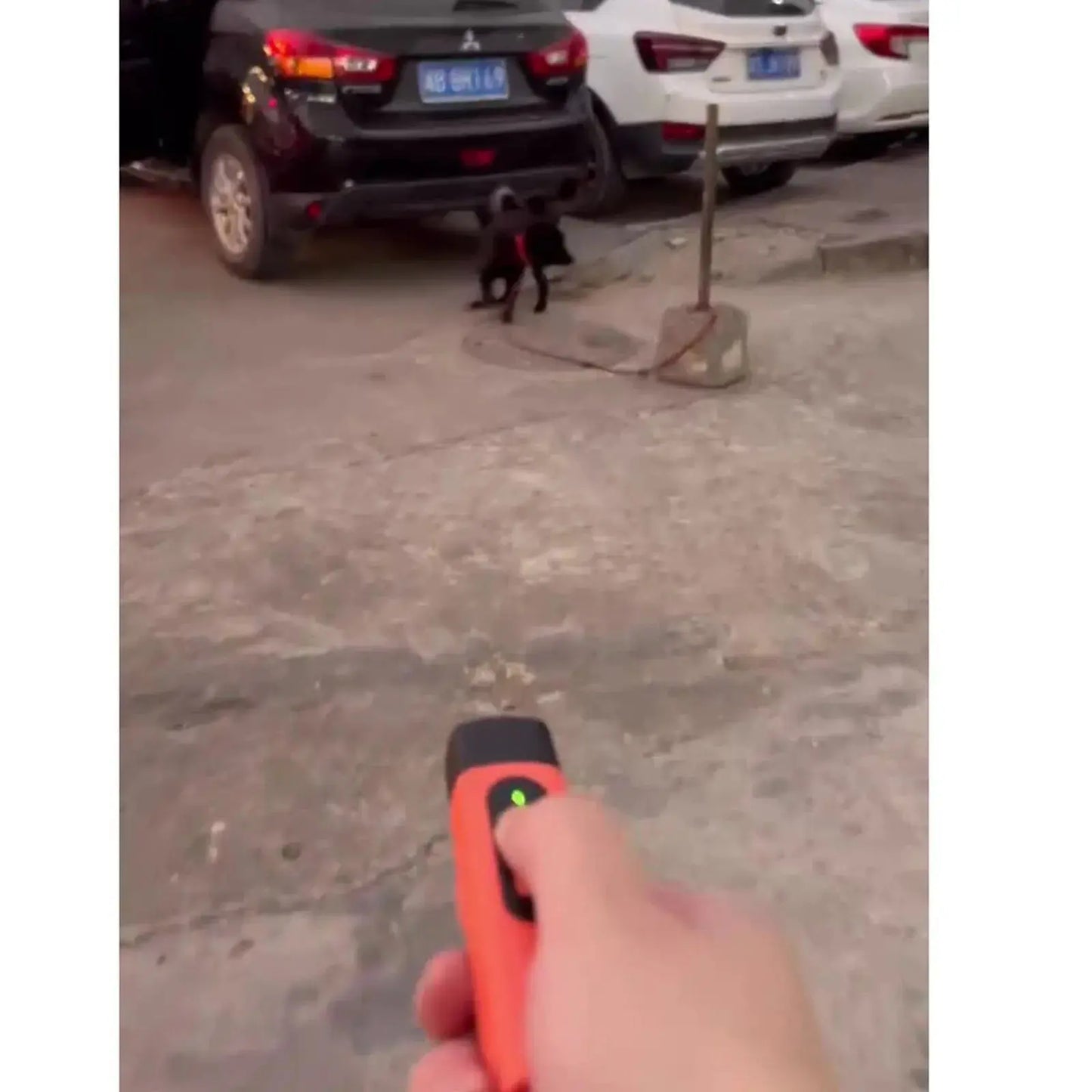 New Dog Repeller with LED Display Anti Barking Training Device 3 Head Ultrasound Flashlight High Power Dog Training Device WLP Company