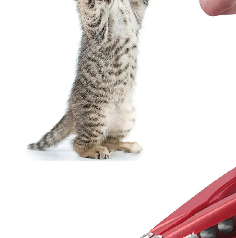 Dog Nail Clipper Dog Cat Nail Clipper Stainless Steel Pet Dead Skin Remover Nail Care Tool for Small Medium Dogs Cats Guillotine Nail Clipper WLP Company