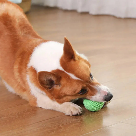 Pet Chew Toy Squeaky Corn Ball, Durable Dog Chewing Ball for Teeth Grinding & Cleaning, Puppy Boredom Relief Pet Supplies WLP Company
