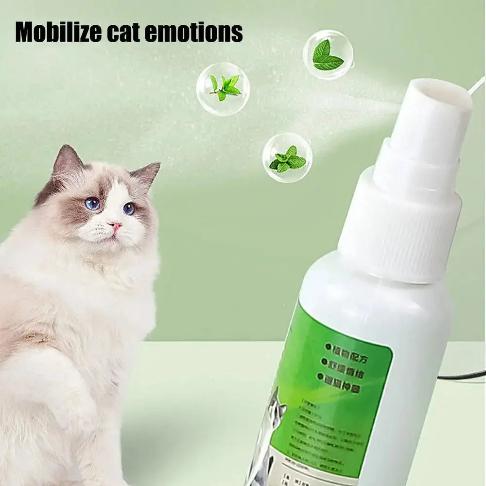 50ml Natural Catnip Cat Spray Cat Calming Mint Spray Happy Water Cat Herb Inducer Pet Accessories For Kittens Cats WLP Company