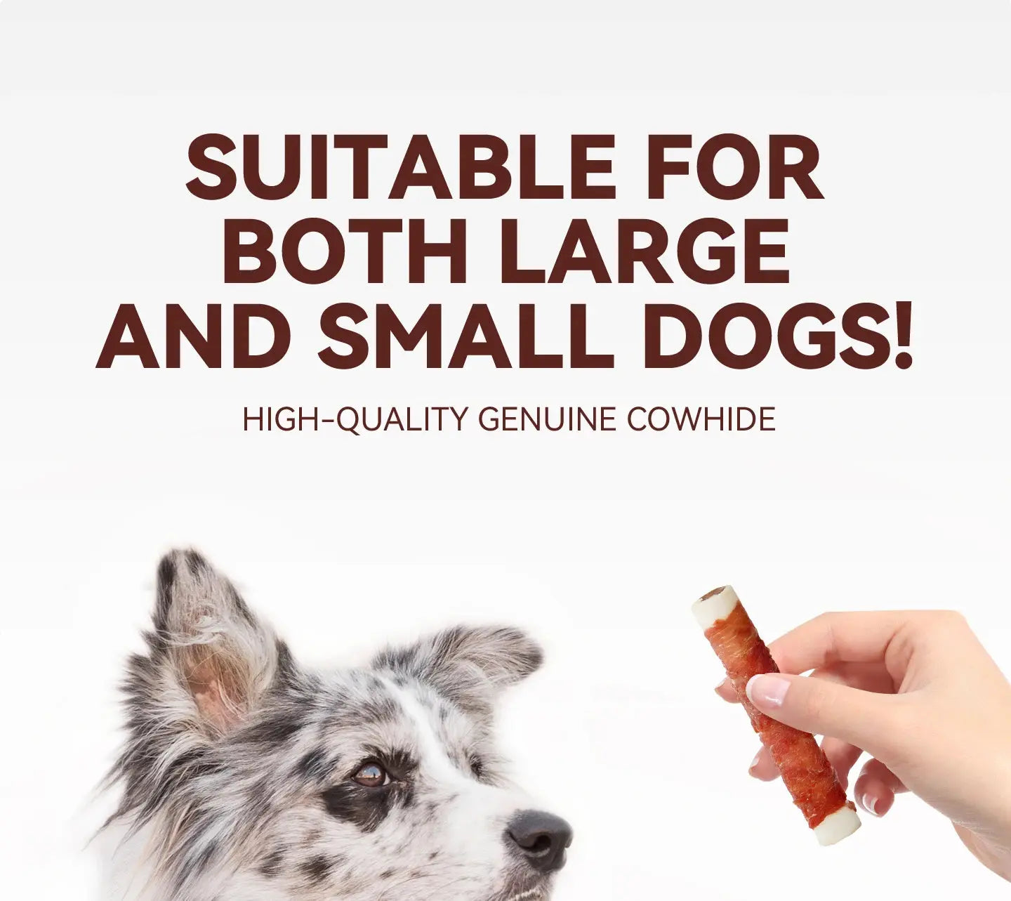 chanbuni Dog Snack Dog Feeding Snacks Dogs Dogs Snacks Pet Snack Teething Sticks Dog Treats Training Teeth Grinding Rewards WLP Company