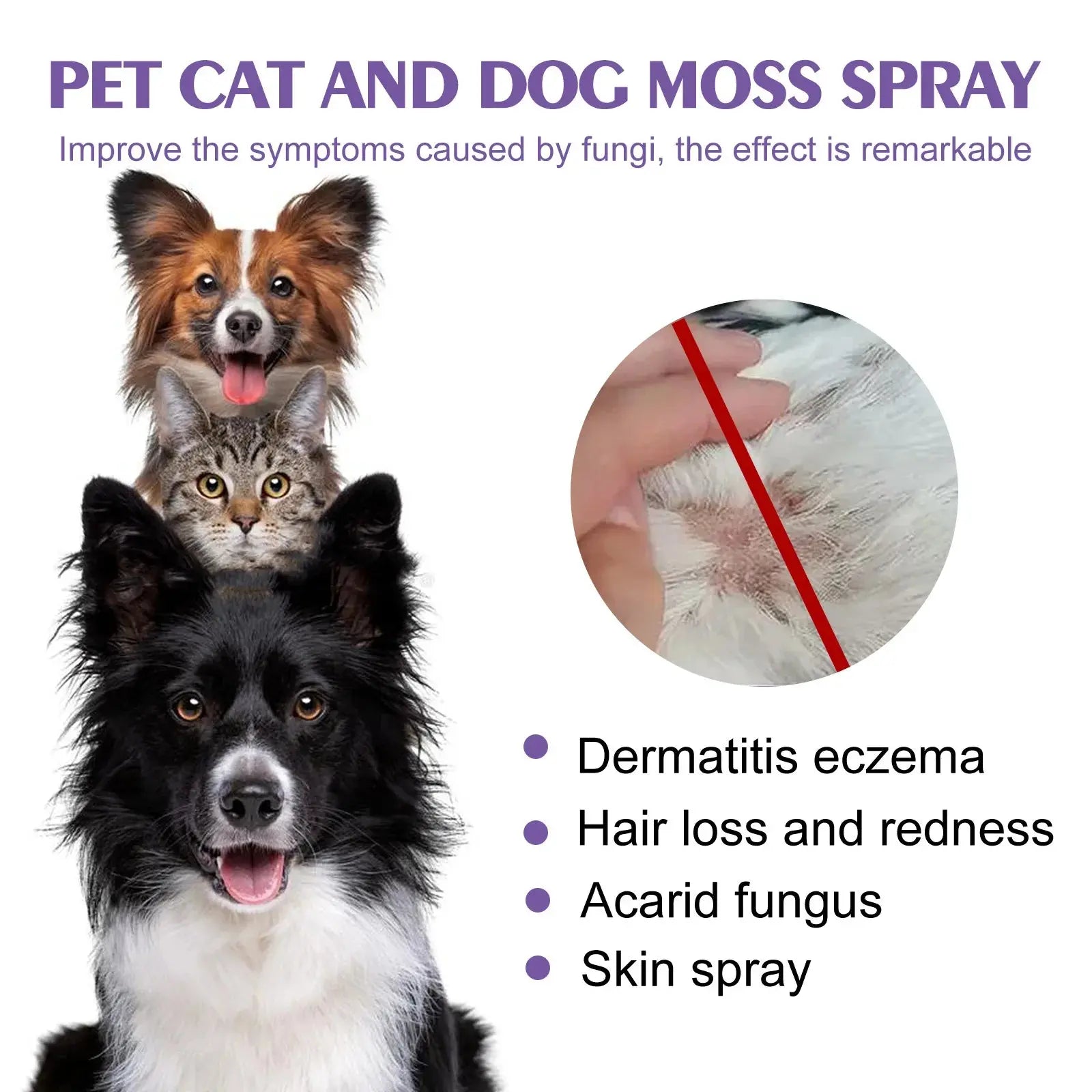 Cat Skin Care Spray Pet Flea Mite Eliminator Dog Itchy Skin Treatment Pet Wound Repair Cat Hair Regrowth Dog Hair Repair Serum WLP Company