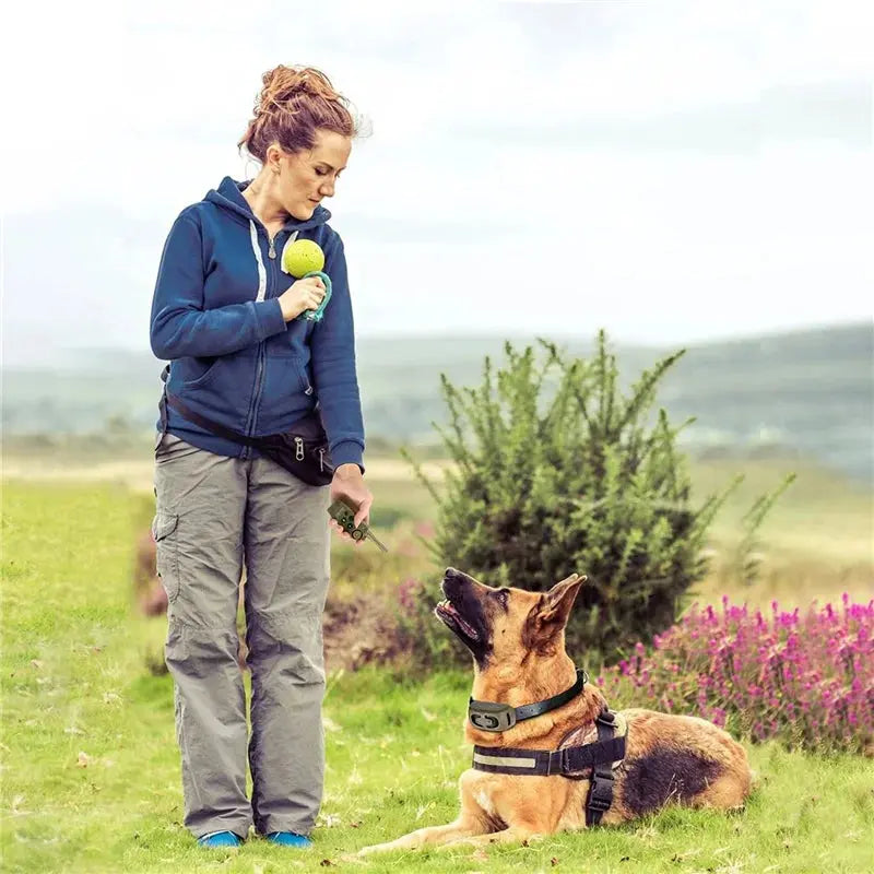 dog training collar Training Collar Pet Dog Remote Control Waterproof Rechargeable Pet Barking Stopper Dog Repellent Control Training Collar WLP Company