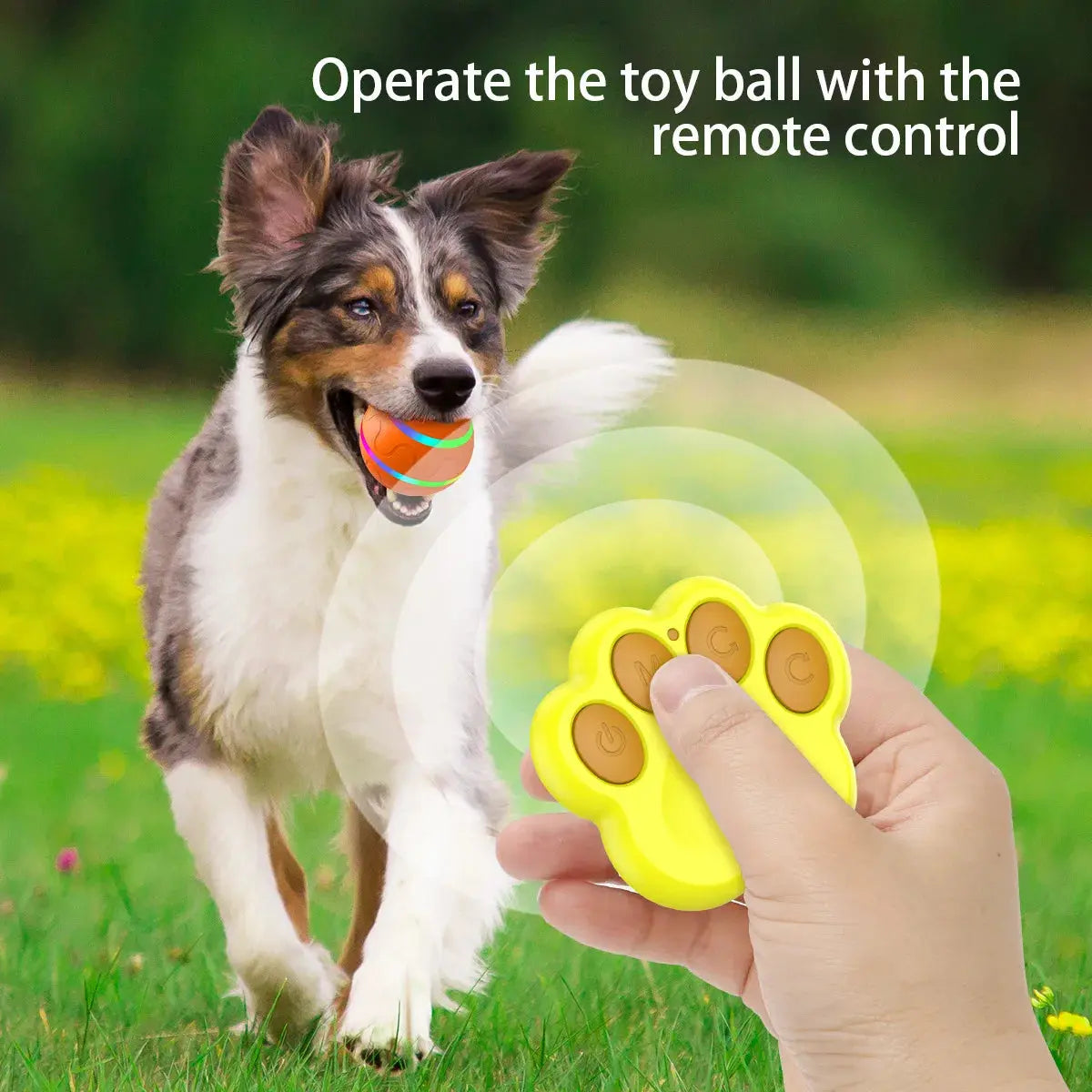 interactive pet toy Smart Interactive Pet Ball Remote Control Flashing Rolling Jumping Rotating Waterproof Dog Chew Toy Ball for Aggressive Chewers WLP Company