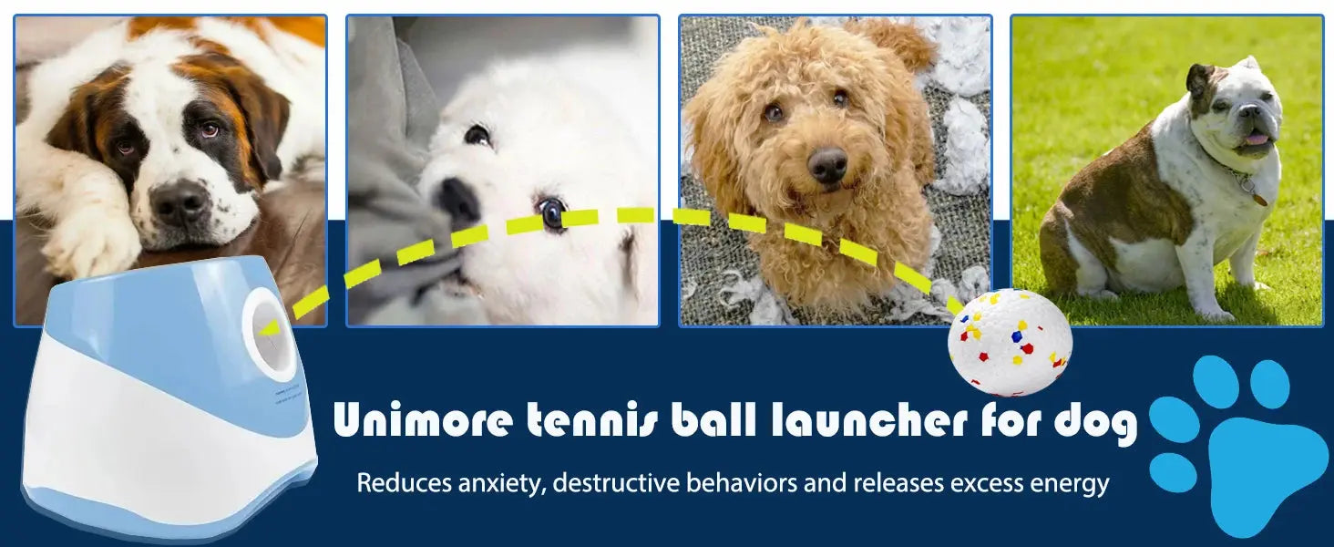 Fun Interactive Automatic Dog Tennis Ball Launcher WLP Company