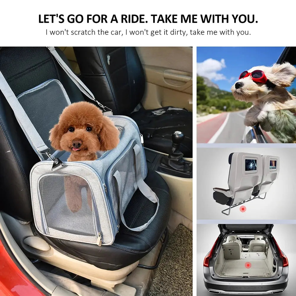 Airline Approved Dog Carrier Airline Approved Soft Side Dog Travel Carrier WLP Company
