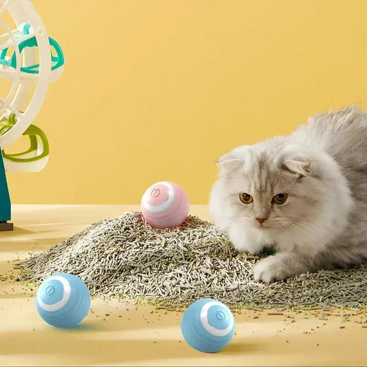 Cat Interactive Ball Smart Cat Toys for Pet Indoor WLP Company