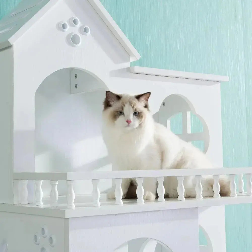 luxury cat climbing frame Mounted Solid Wood Cat Climbing Frame WLP Company