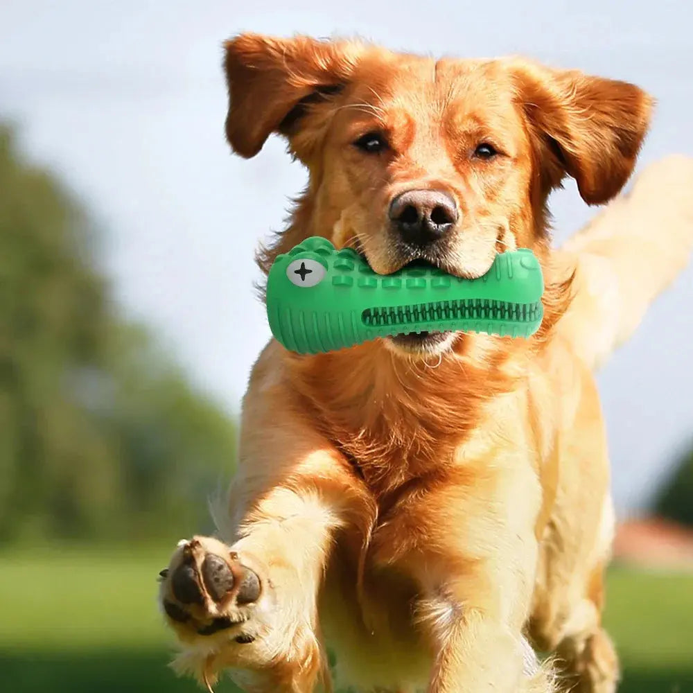 Pet Dog Chew Toys Rubber Chew Toy Aggressive Chewers Dog Toothbrush Doggy Puppy Dental Care For Dog Pet Accessories WLP Company