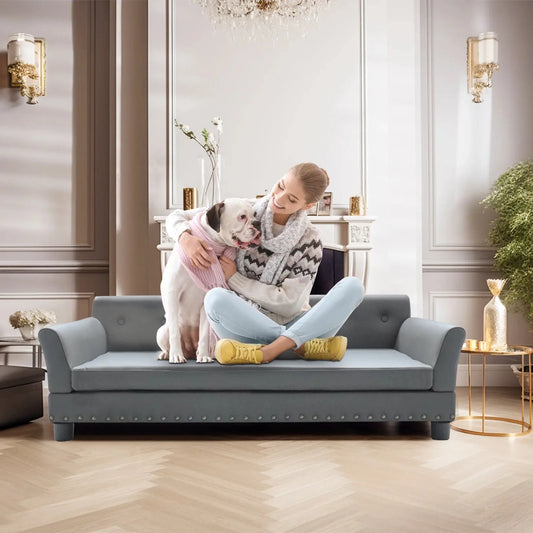 elevated dog bed Pet Bed for Medium and Large Dogs, Durable Elevated Dog Sofa Bed, Comfortable Dog Couch, Modern Dog Sofa WLP Company