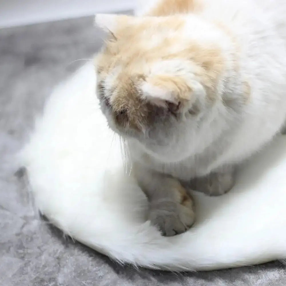 USB heating pad Soft Warm Pet Heated Plush Blanket Thermal Insulation Cat Bed Cushion Winter Heating Dog Cat Nest Mat WLP Company