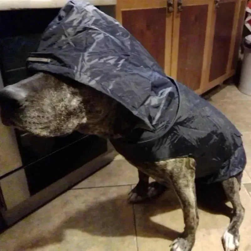 Dog Raincoat 4 Colors S-6XL WLP Company