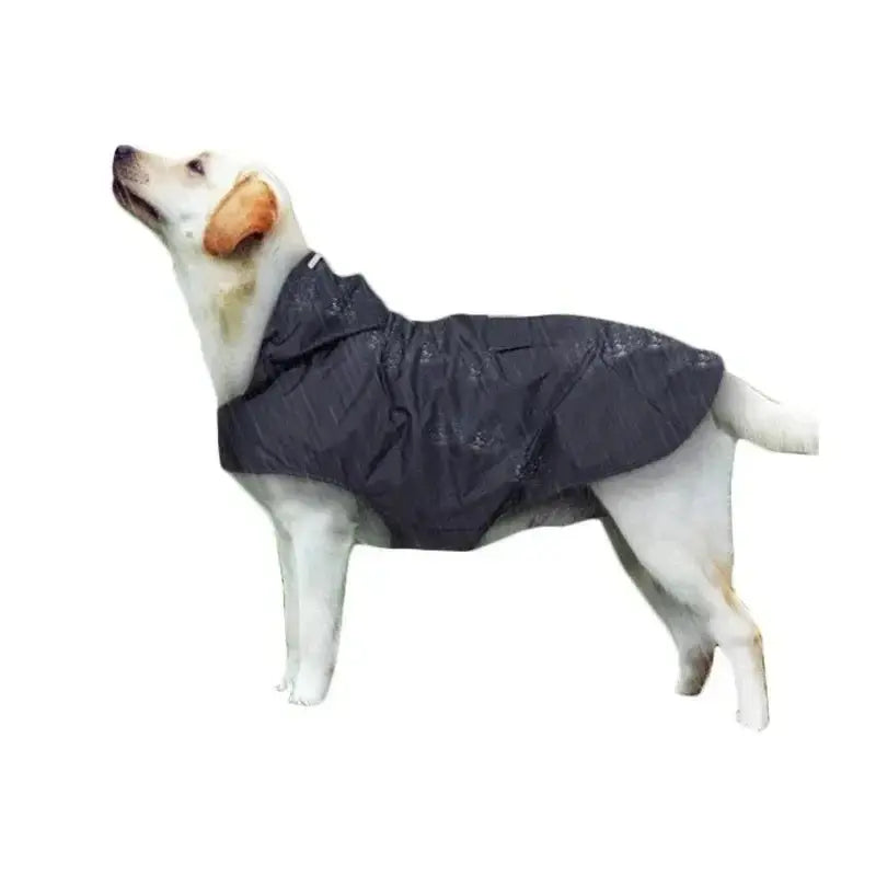 Dog Raincoat 4 Colors S-6XL WLP Company