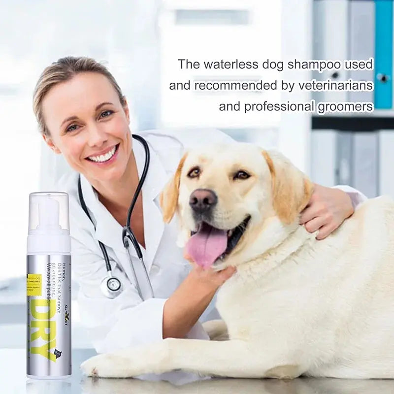pet shampoo 200ML Pet Dry Cleaning Foam Without Rins Dog Cat Puppy Shower Gel Supp Shampoo Deodorant Sterilization Leave Scent Pet Supplie WLP Company