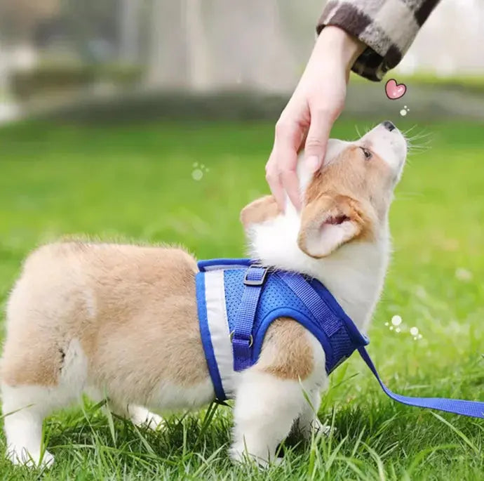 cat harness and Dog Harness Lead Leash Adjustable Vest Polyester WLP Company