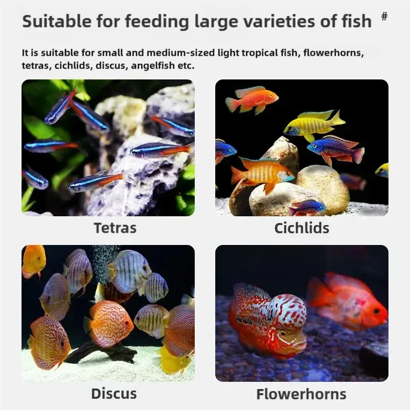 Freeze Dried Tubifex Worms Red Thread Worm Patch Food for Tropical Fish and Amphibians WLP Company
