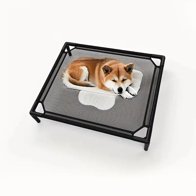 Cooling Elevated Dog Bed - Raised Dog Cot Fits, Pet Cot with Durable Supportive Mesh, Indoor & Outdoor, Black, Small Pet Bed WLP Company