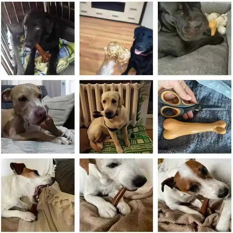 Dog Chew Toys Bone Chews Toys Nearly Indestructible Natural Non-Toxic Anti-bite Puppy Toys For Small Medium Large Dog Pet Chew Toy WLP Company