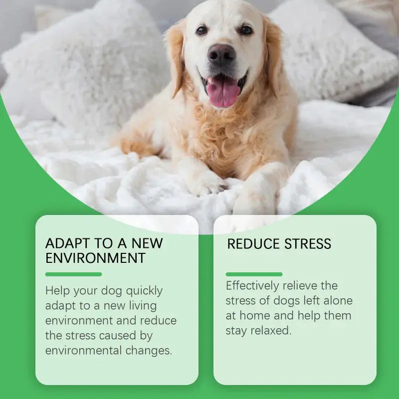 Dog Calming Diffuser Kit, Anxiety Relief For Pets With Separation Stress, Helps Reduce Fear Of Fireworks & New Environments WLP Company