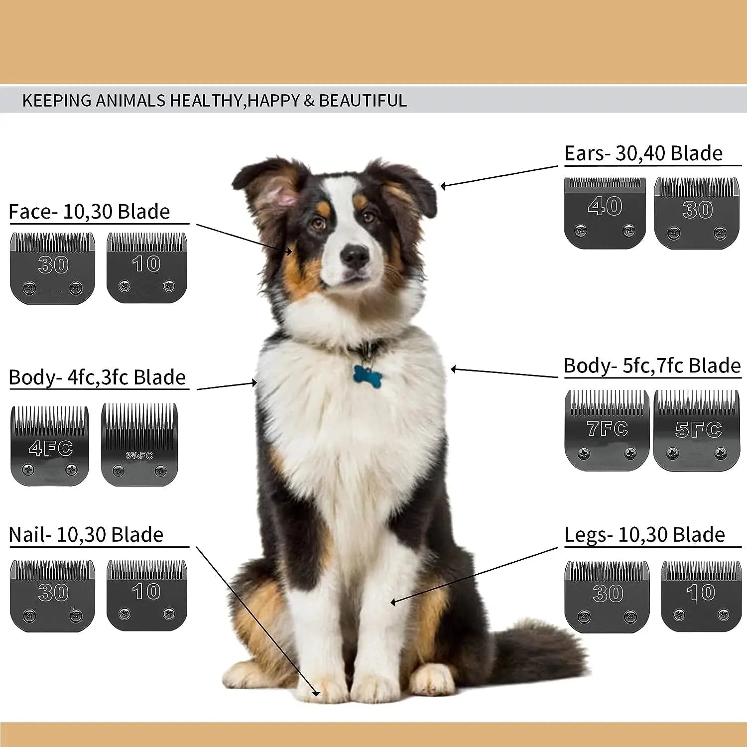 Black Stainless Steel Blades Set, Detachable Pet Dog Grooming Clipper WLP Company