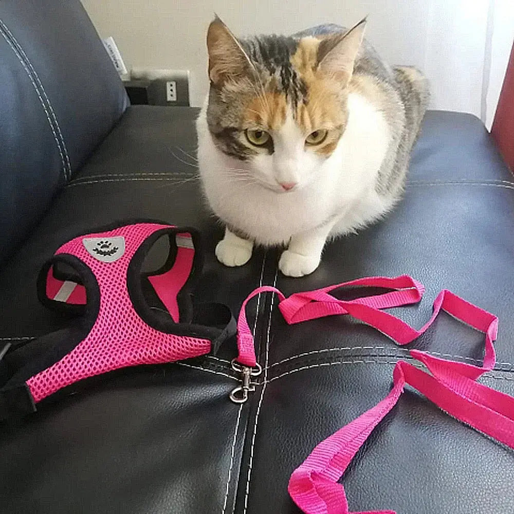 cat harness and Dog Harness Lead Leash Adjustable Vest Polyester WLP Company