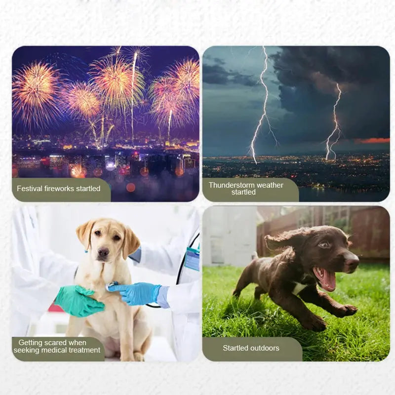 Dog Anxiety Vest Pet Dog Anxiety Jacket Reflective Vest For Small Medium Large Dog Clothes Shirt Pets Accessories XS-3XL WLP Company