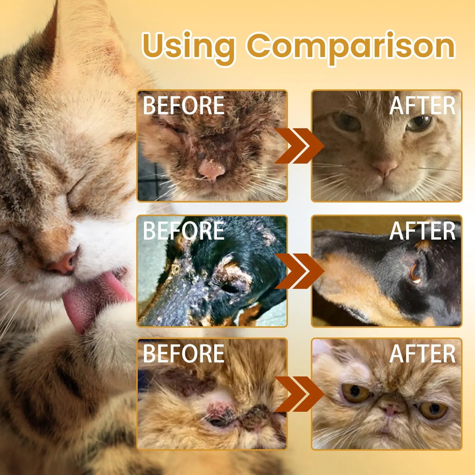 Cat Skin Care Spray Pet Flea Mite Eliminator Dog Itchy Skin Treatment Pet Wound Repair Cat Hair Regrowth Dog Hair Repair Serum WLP Company