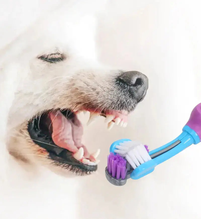Three Sided Pet Toothbrush Multi-angle Toothbrush Cleaning Dog Cat Brush Bad Breath Pet Dental Care Cat Cleaning Mouth WLP Company