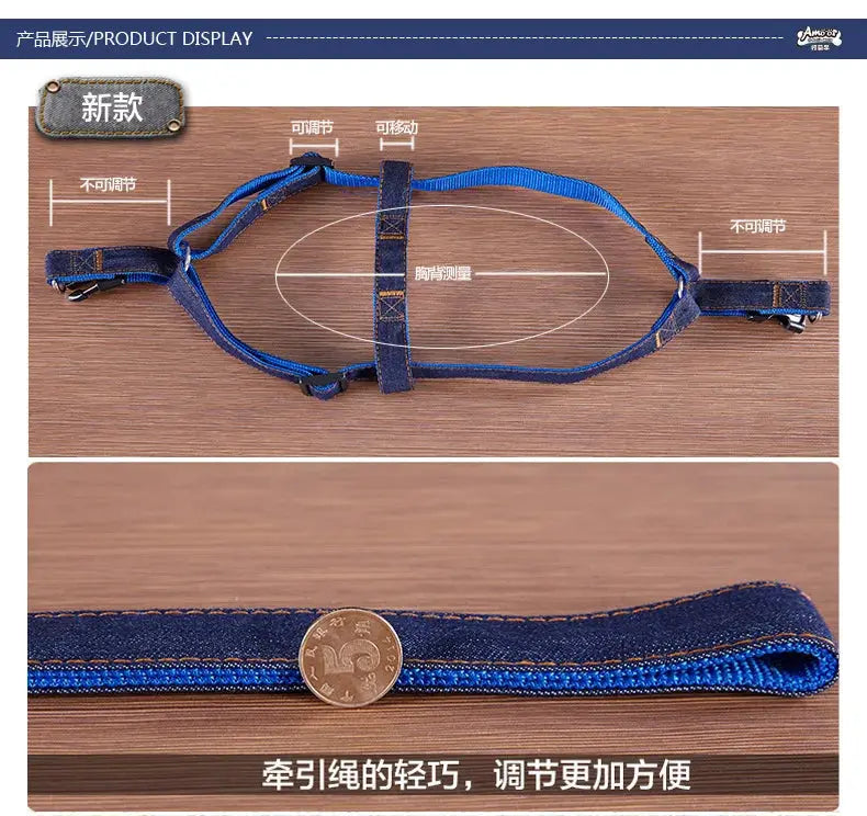 Comfort Style Long Dog Leash WLP Company