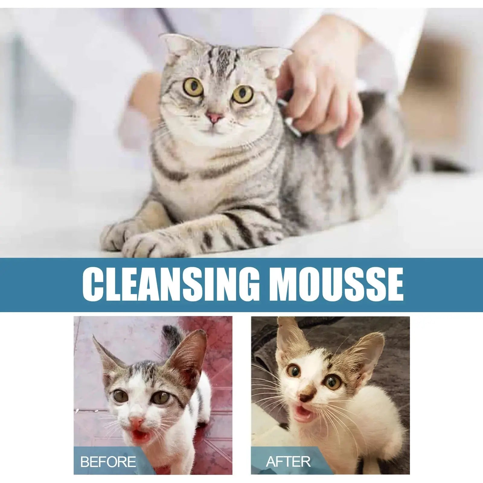 Pet Dry Shampoo Puppy Kitten Dry Cleaning Foam Shampoo Safe Bathless Cleaning Odor Eliminator Itch Relief Pet Grooming Supplies WLP Company