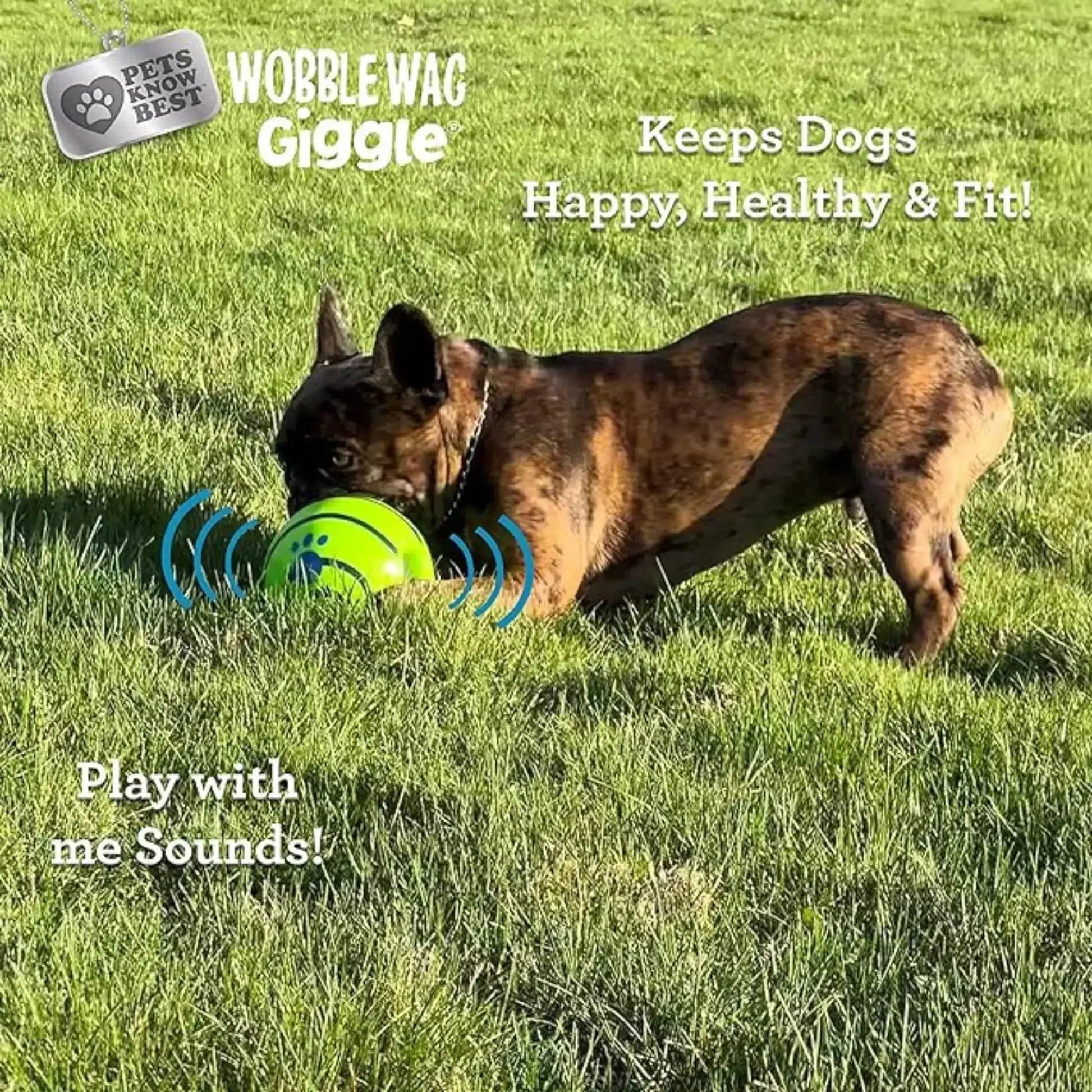 Pet Dog Toy Ball Wobble Wag Giggle Sound-Emitting Glow Ball Interactive Dog Toy Funny Indoor or Outdoor Play Agility Training WLP Company