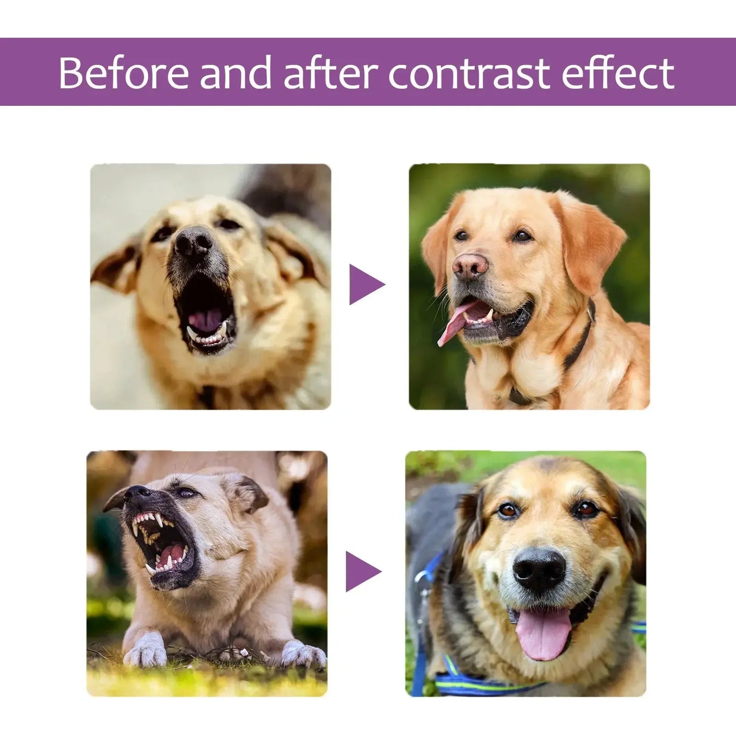 Pets Calming Spray Prevent Howling Relieve Stress Spray Manage Emotions Scratching Fighting Prevention Cat Anti-anxiety Liquid WLP Company