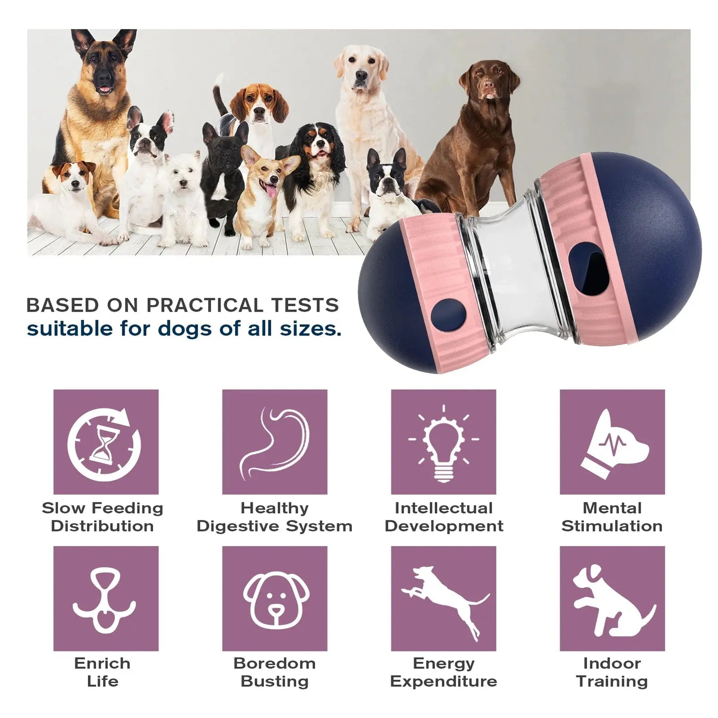 Dog Puzzle Toy Elliptical Track Rolling Increase Intelligence Ball Leaky Food Develop Good Habits Durable Interactive Pet Toys WLP Company