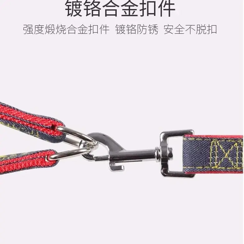 Comfort Style Long Dog Leash WLP Company