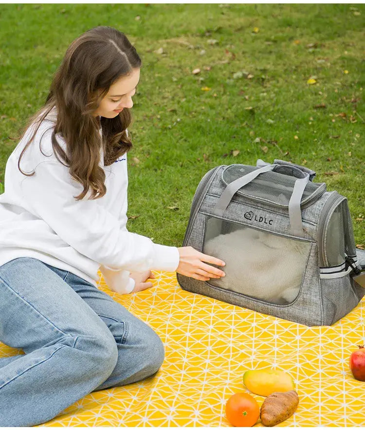 Portable Cat Bag Car-mounted Large Side Window Can Be Equipped with Trolley Pet Bag Breathable Travel Shoulder Folding Cat Bag WLP Company