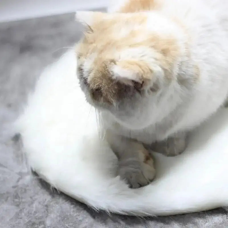 USB heating pad Soft Warm Pet Heated Plush Blanket Thermal Insulation Cat Bed Cushion Winter Heating Dog Cat Nest Mat WLP Company