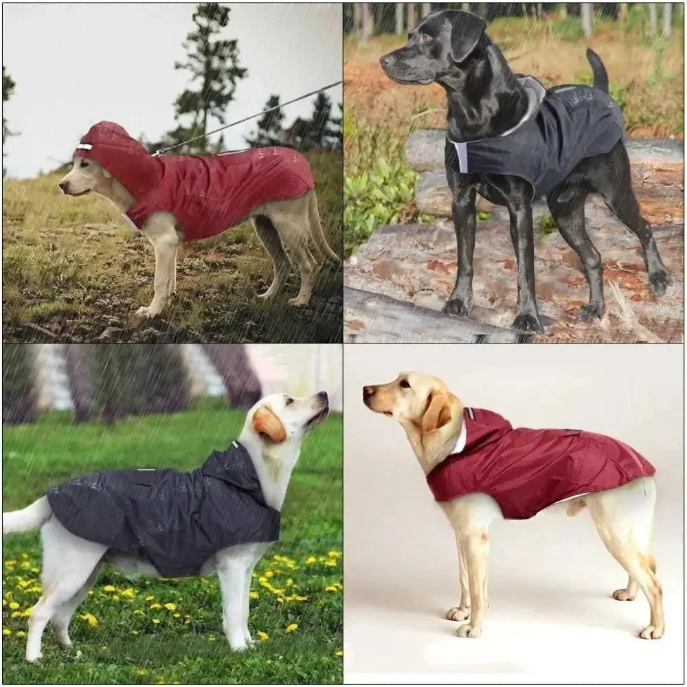 Dog Raincoat 4 Colors S-6XL WLP Company