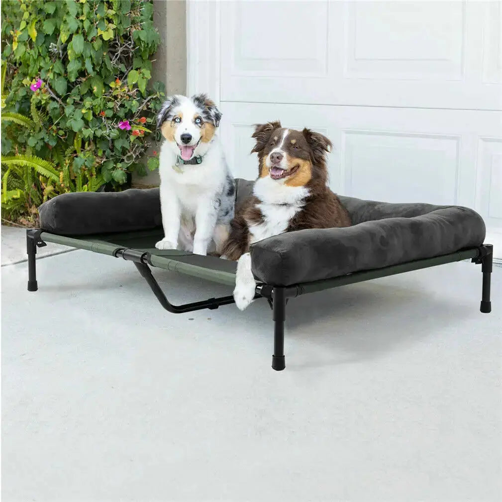 Dog Bed for Dogs and Cats Indoor Outdoor Elevated Pet Lounger Bed with Detachable Plush Bolster Cooling Summer L XL 2XL WLP Company
