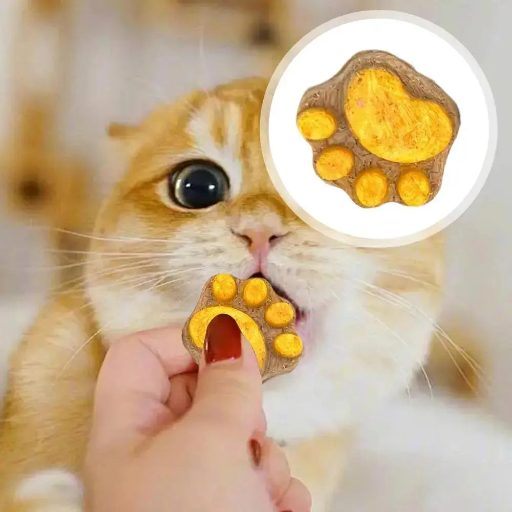 Pet Cat Snacks Freeze-dried Cats Snacks Cat Claw Snacks Cat Dog Universal Snacks Train To Get Rewarded Pet Treats Kitty Food WLP Company
