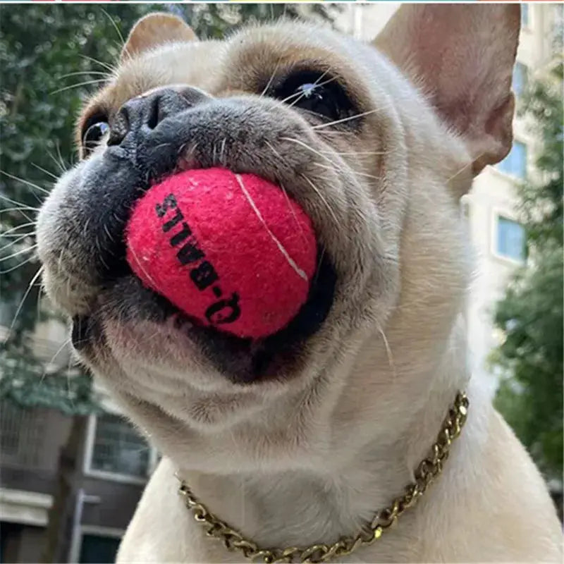 4Pcs/Set Dog Toy Q-MONSTER Thick Walled Natural Rubber Squeak Chew Balls for Dogs Tennis Interactive Bouncy Balls for Training WLP Company