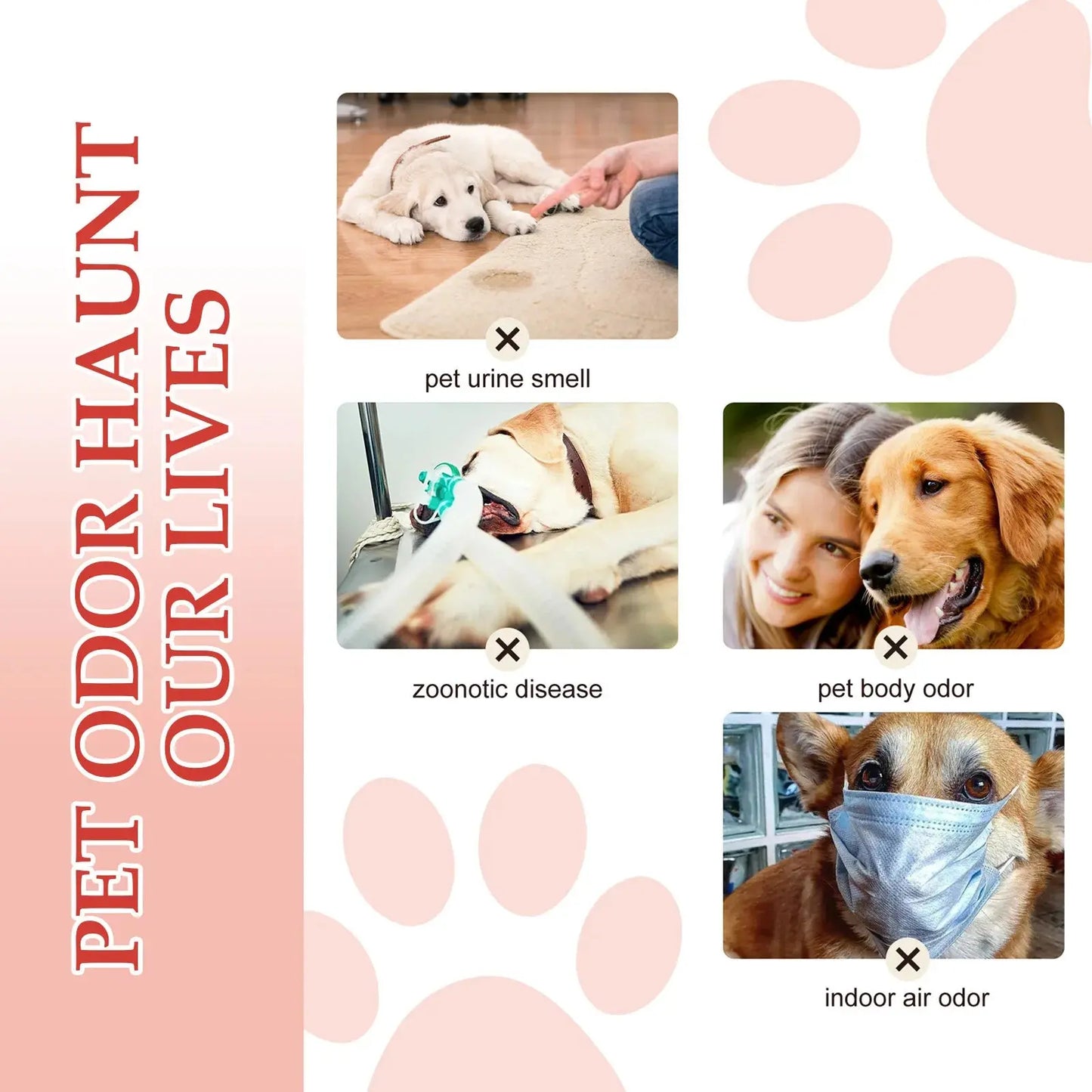 Yegbong Pet Odor Eliminator Spray - Long-Lasting Clean Deodorant for Dogs & Cats WLP Company