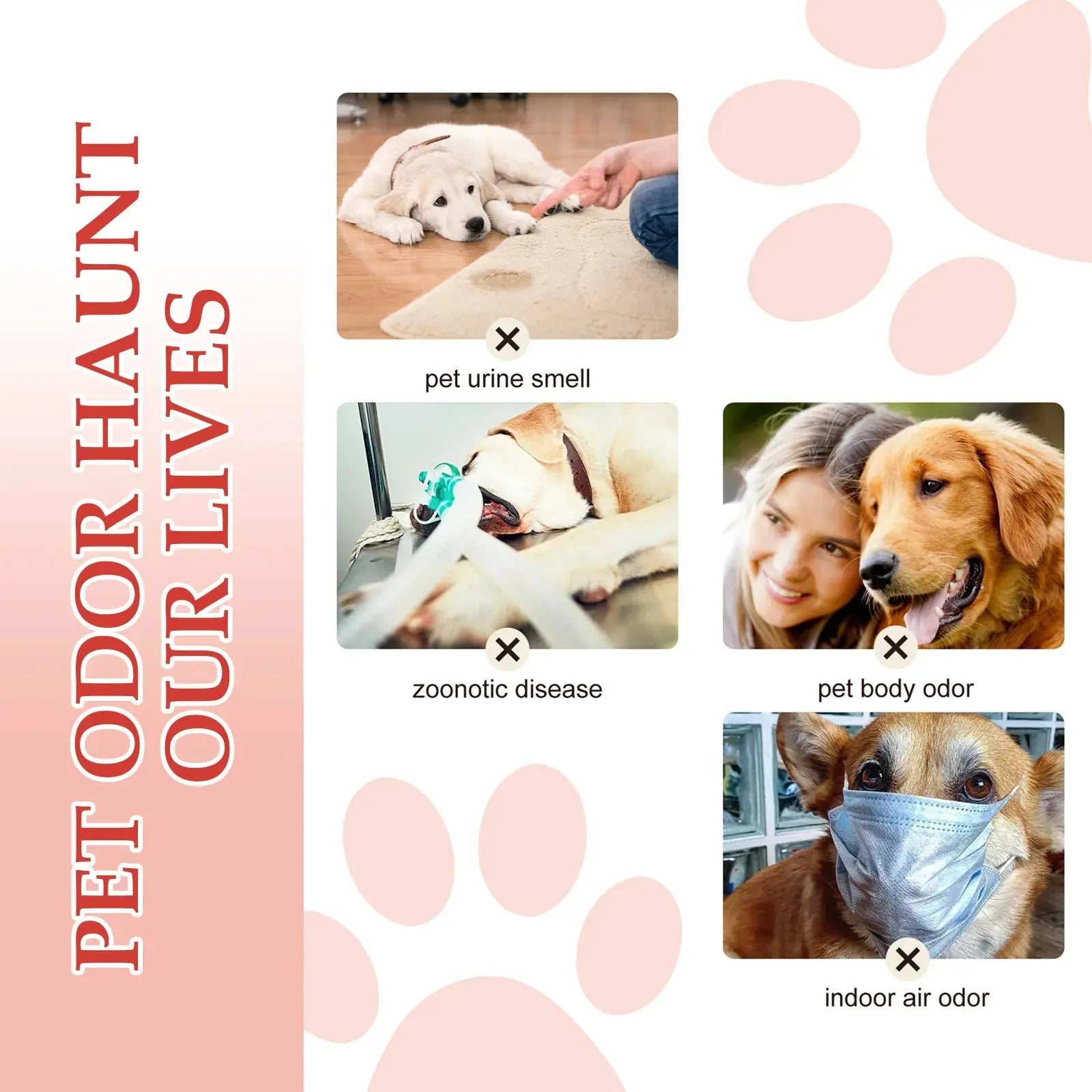 Yegbong Pet Odor Eliminator Spray - Long-Lasting Clean Deodorant for Dogs & Cats WLP Company