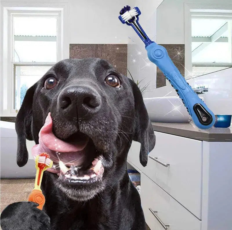 Three Sided Pet Toothbrush Multi-angle Toothbrush Cleaning Dog Cat Brush Bad Breath Pet Dental Care Cat Cleaning Mouth WLP Company