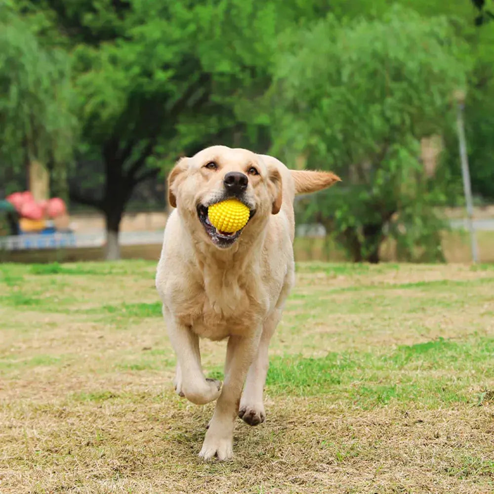 Pet Chew Toy Squeaky Corn Ball, Durable Dog Chewing Ball for Teeth Grinding & Cleaning, Puppy Boredom Relief Pet Supplies WLP Company